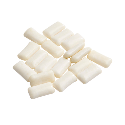 Pastil&aelig;ske, tyggegummi mint 20g