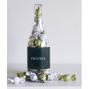 Plastikflaske m/luksus chokoladekuglemix 480g